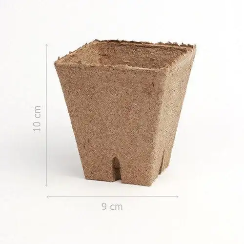 Jiffy Peat pots 8x8cm box 1-1200 Stück